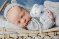 newborn teddy bear