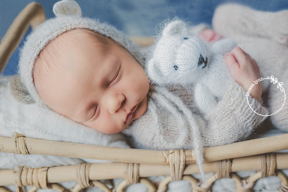 newborn teddy bear