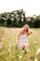 Flower Field