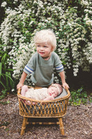 spring blooms newborn