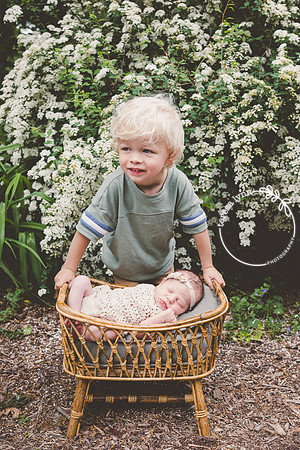 spring blooms newborn