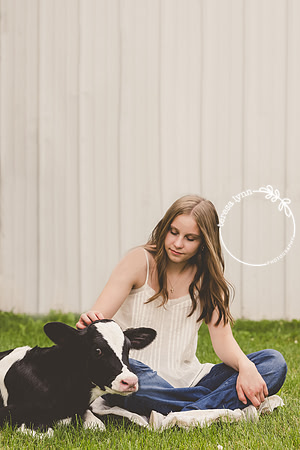 senior baby calf photo