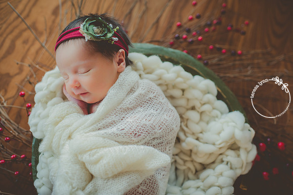 Christmas Newborn Photography