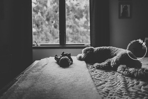 Newborn Lifestyle Photography