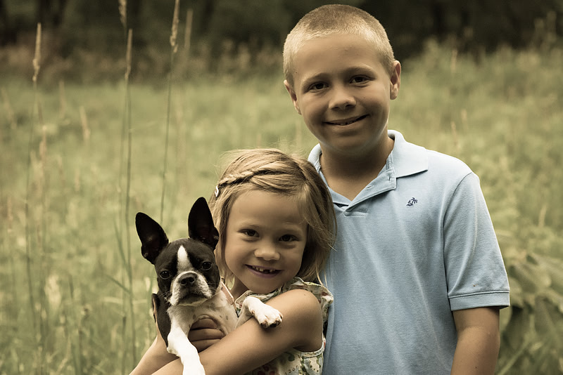 "pet photographer", "pet photography", "family photographer", "Waunakee photographer", "Madison photography"