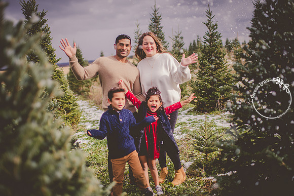snow tree farm photos