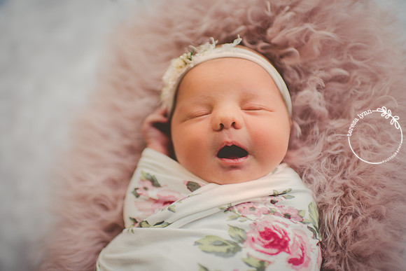 newborn photographer