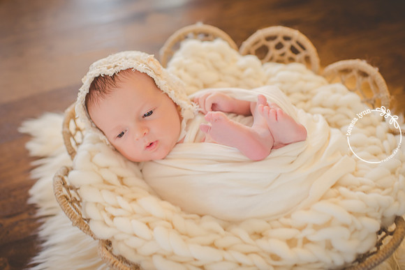cream newborn photography