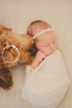 doodle and newborn