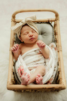 Middleton Newborn Photographer