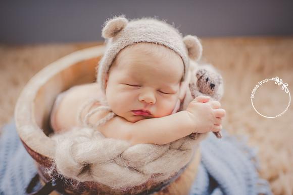 Newborn baby bear