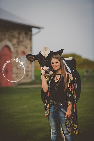 Cow Senior Photo