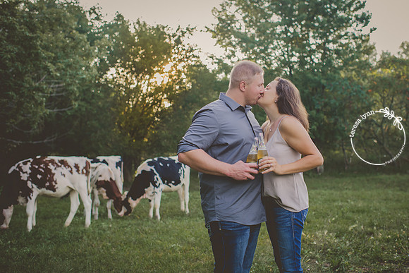 cows engagement