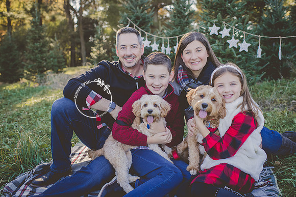 Tree Farm Christmas Card